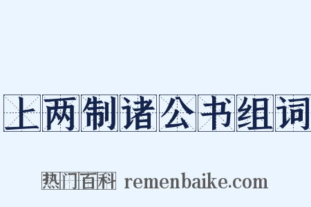 上两制诸公书组词是什么意思的图片